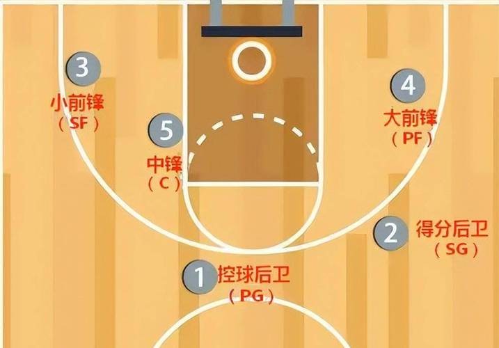 篮球训练法读后感怎么写_0